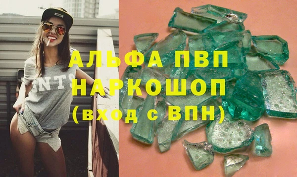 шишки Осташков