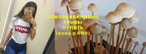 ешки Остров