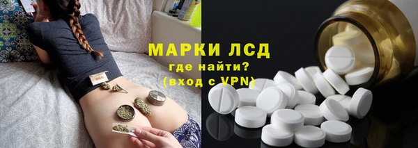 spice Осинники